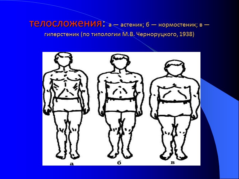 телосложения: а — астеник; б — нормостеник; в — гиперстеник (по типологии М.В. Черноруцкого,